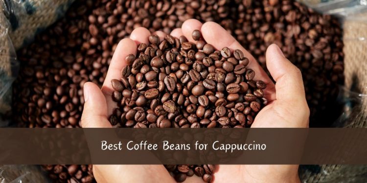 Coffee Beans for Cappuccino